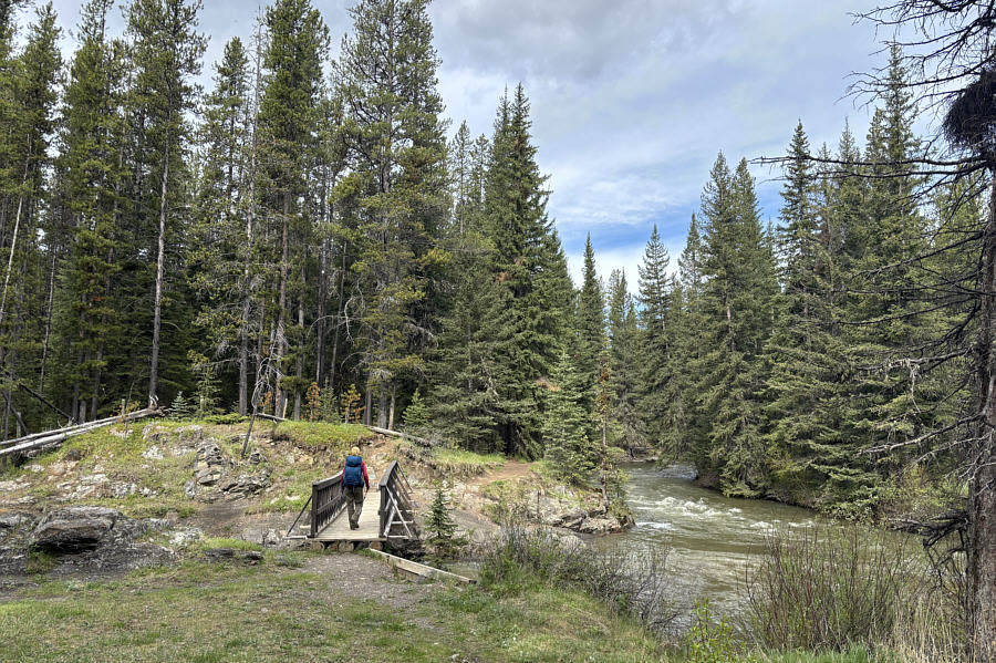 The positioning of this bridge doesn't make a lot of sense because the trails on the other side don't really lead anywhere.