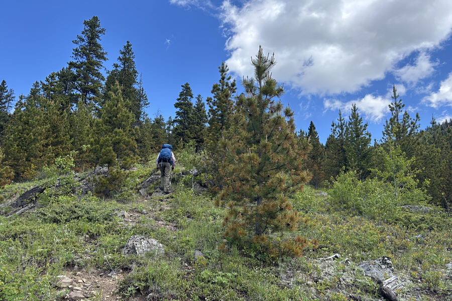It's a great route for ascent--not too steep and no bushwhacking!