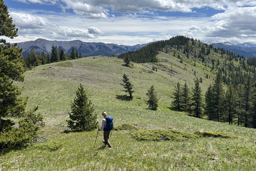 Don't step on the wildflowers!