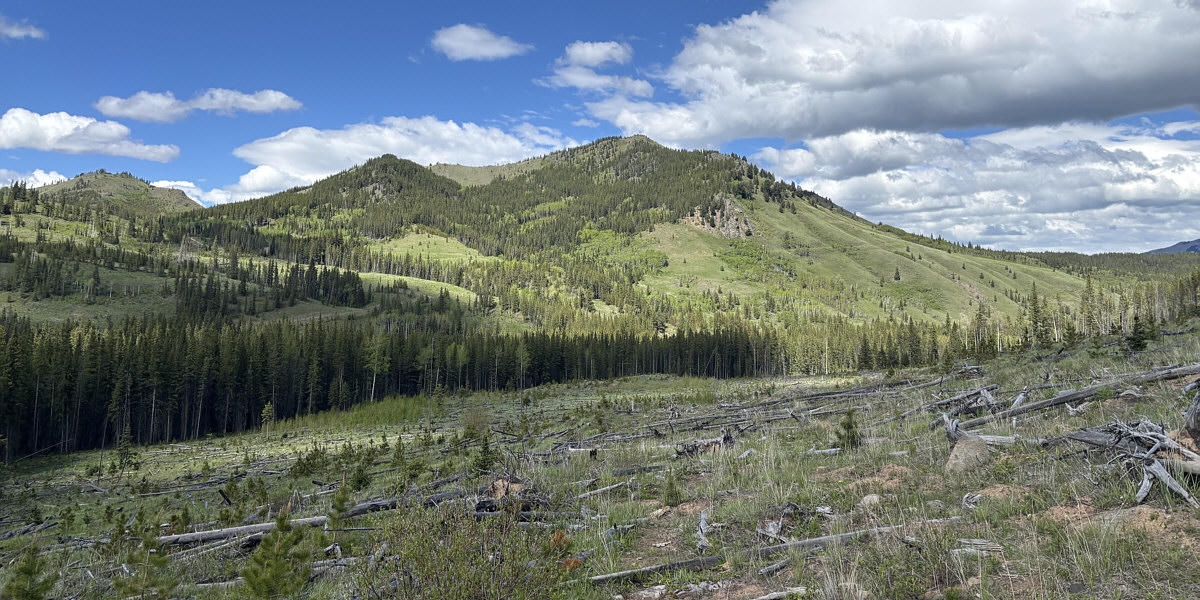 It's kinda surprising that there isn't an ATV trail running along this side of the creek!