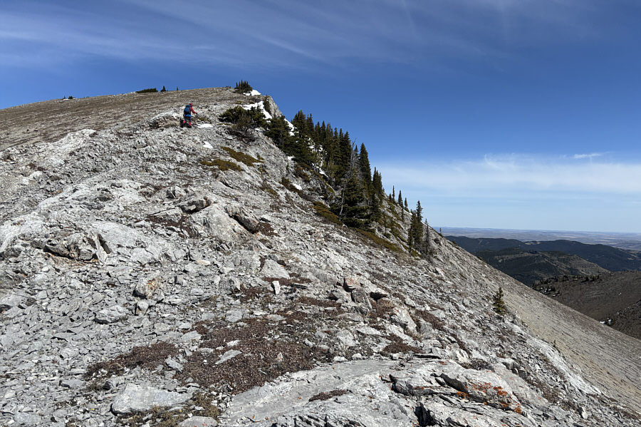 Still some climbing left from here!
