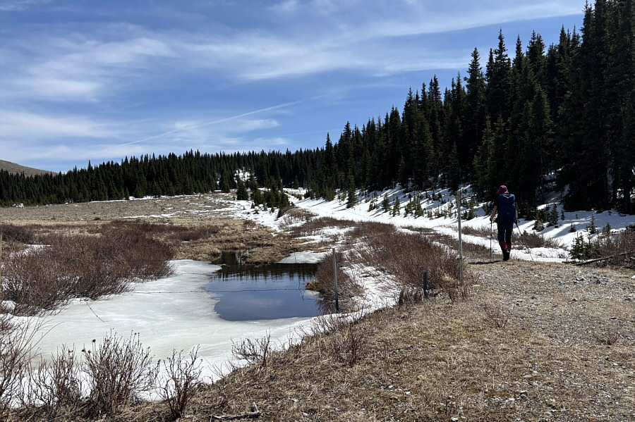This pond is actually one of the sources for Livingstone River.