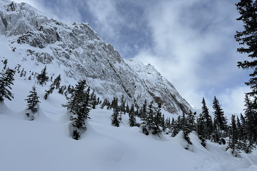 Getting into some avi terrain here...