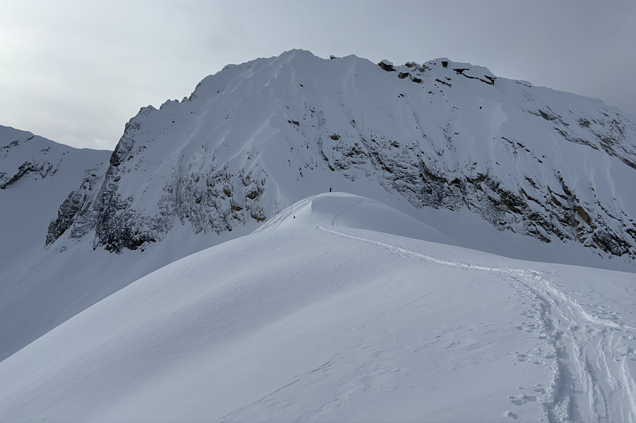 The outlier seems almost as high if not higher than Mount Ogden's gazetted summit.