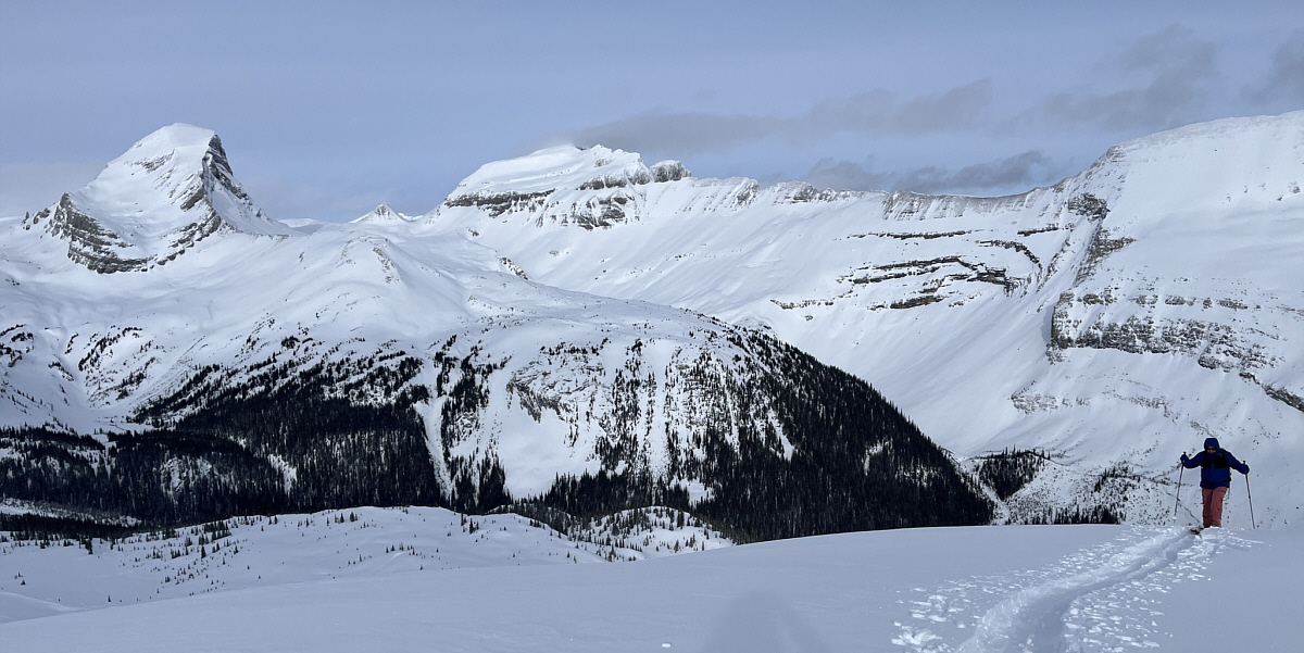 I was too tired to notice them as I plodded up to the high point!