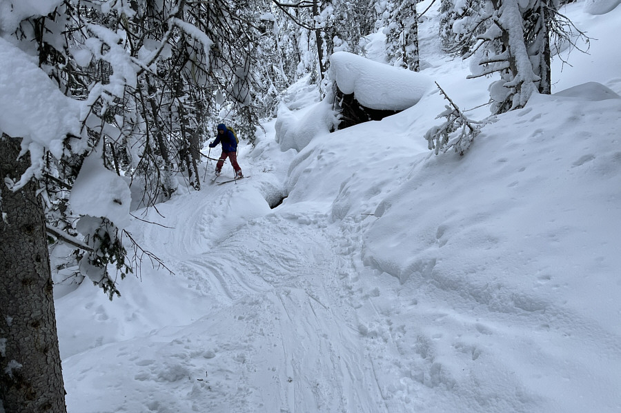 Definitely survival skiing!