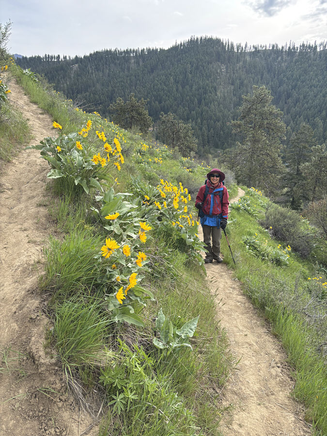 Makes the trail more cheerful, doesn't it?