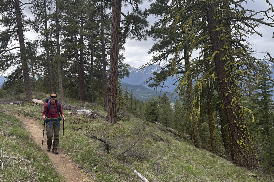 Far more enjoyable than the grind up Mailbox Peak!