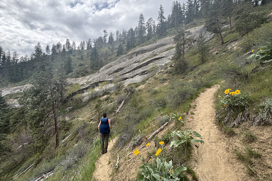 This trail is definitely better saved for the descent.