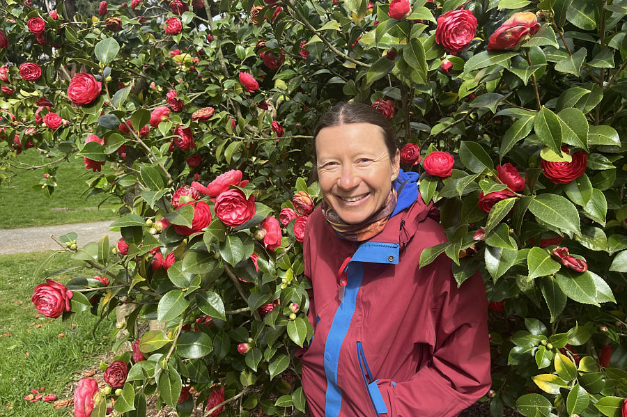 Not magnolias!