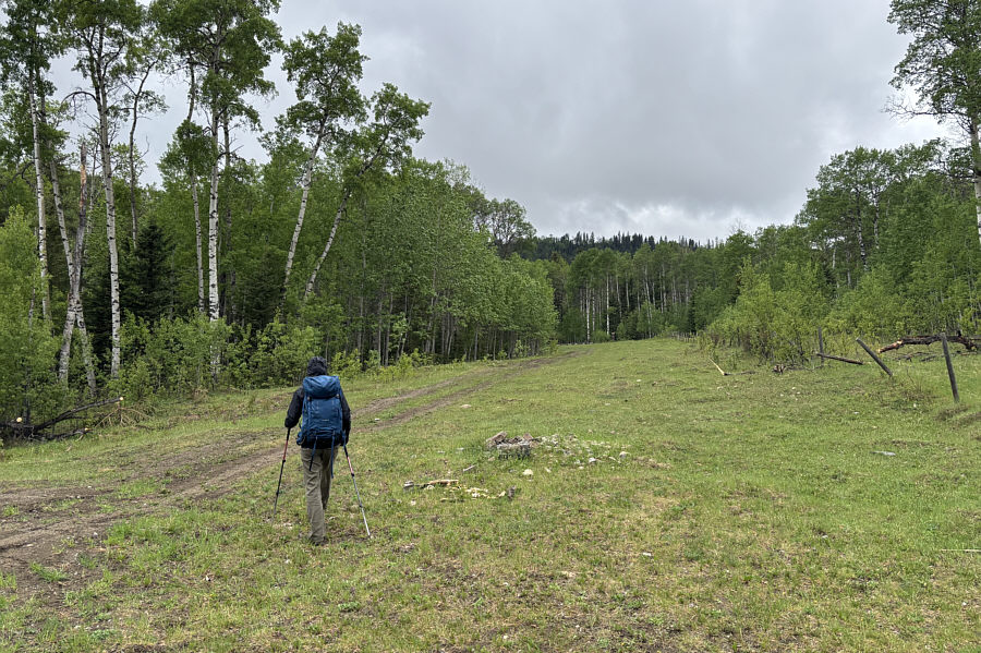 Need to watch your step already--lotsa horse poop here and throughout the hike!