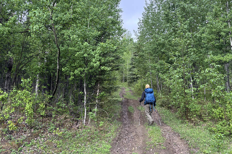 Strangely, there was less poop on this ATV road!