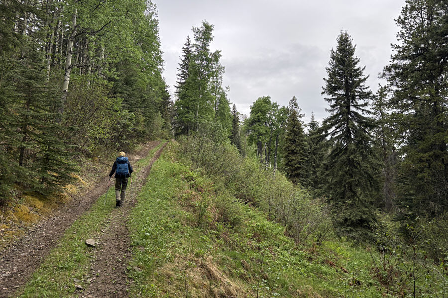 We saw a couple of ruffed grouses along the way.