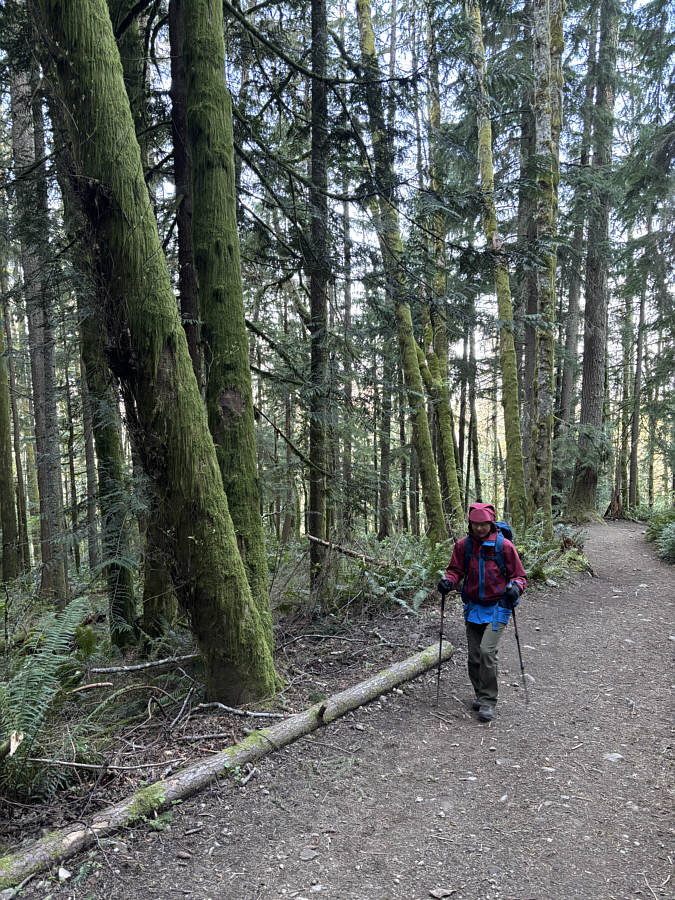 How you know you're hiking in the Pacific Northwest!