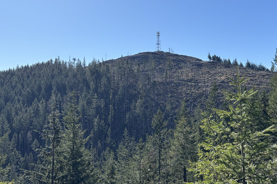 It's nice that they chopped all the trees off the top!