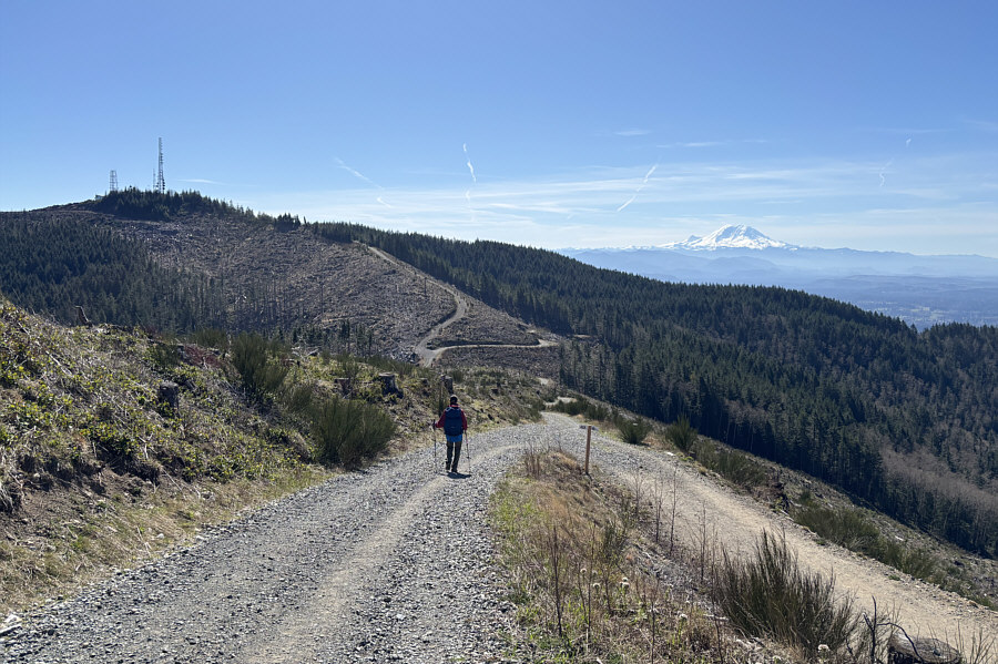 Can't stop looking at beautiful Mount Rainier!